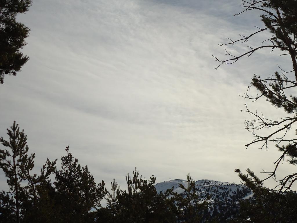 Apartment Face Aux Pistes Greolieres les Neiges Exterior foto